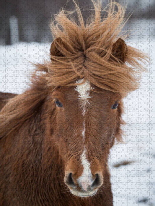 mit Schwung geföhnt 2000 Teile Puzzle hoch - CALVENDO Foto-Puzzle'
