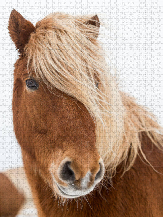 long bangs - CALVENDO photo puzzle 