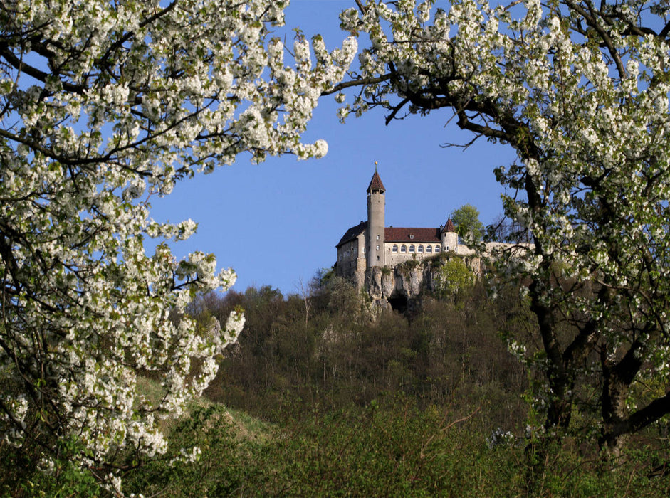 Burg Teck von der Owener Steige 2000 Teile Puzzle quer - CALVENDO Foto-Puzzle'
