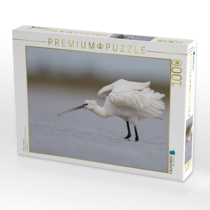 Löffler, Jungvogel - CALVENDO Foto-Puzzle'