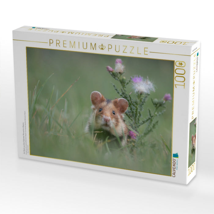 Ein Motiv aus dem Kalender Moments in Nature - CALVENDO Foto-Puzzle'