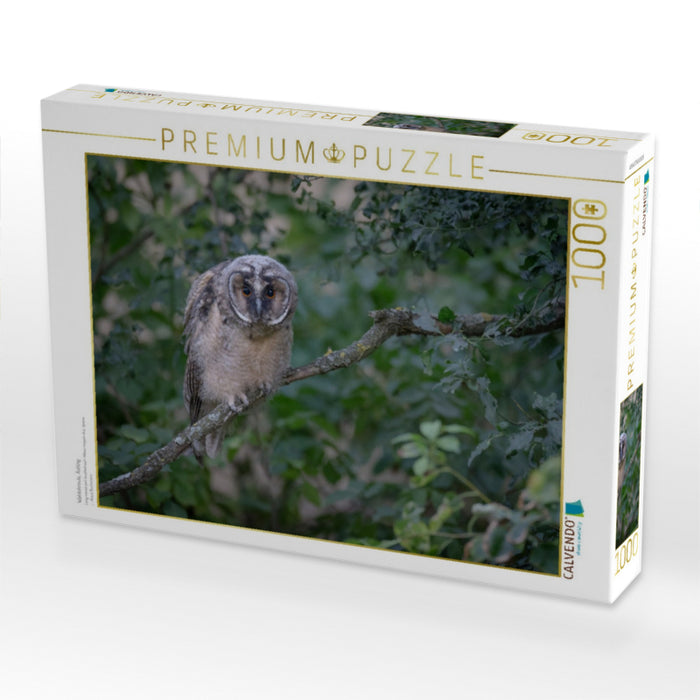 Waldohreule, Ästling - CALVENDO Foto-Puzzle'