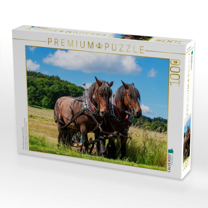 Pferde Gespann belgisches Kaltblut - CALVENDO Foto-Puzzle'