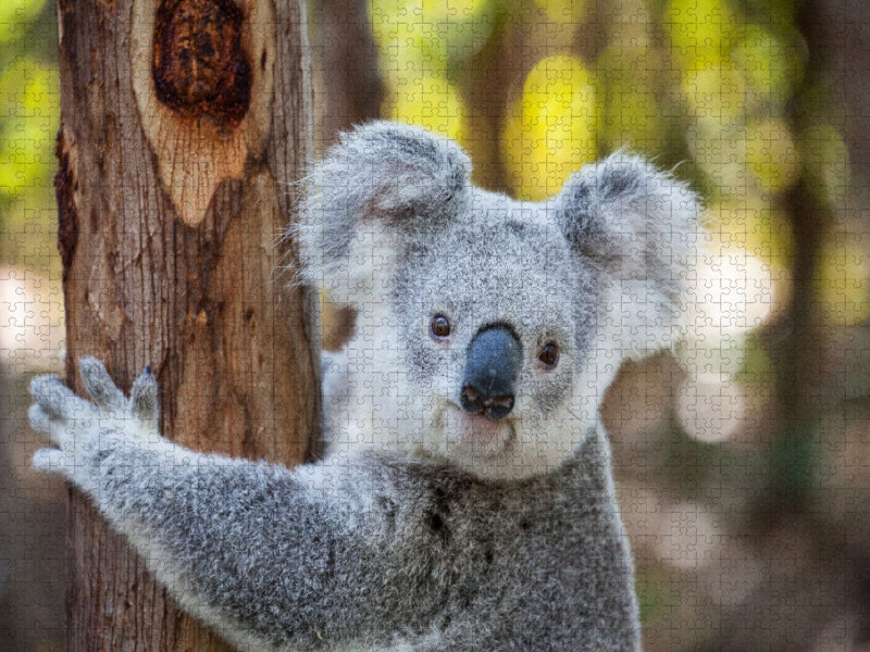 Ein Motiv aus dem Kalender Australiens wunderbare Tierwelt - CALVENDO Foto-Puzzle'