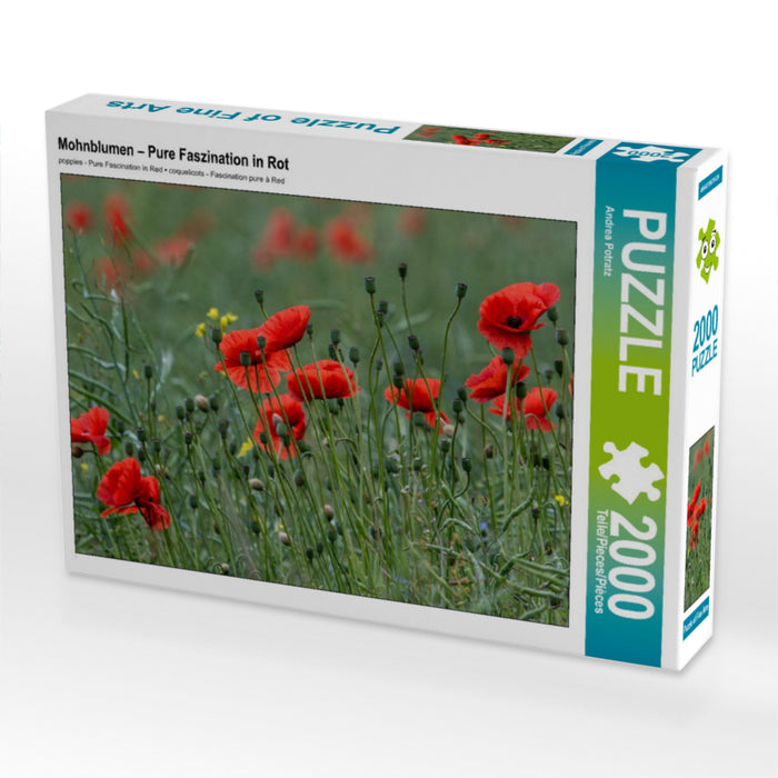 Mohnblumen – Pure Faszination in Rot 2000 Teile Puzzle quer - CALVENDO Foto-Puzzle'