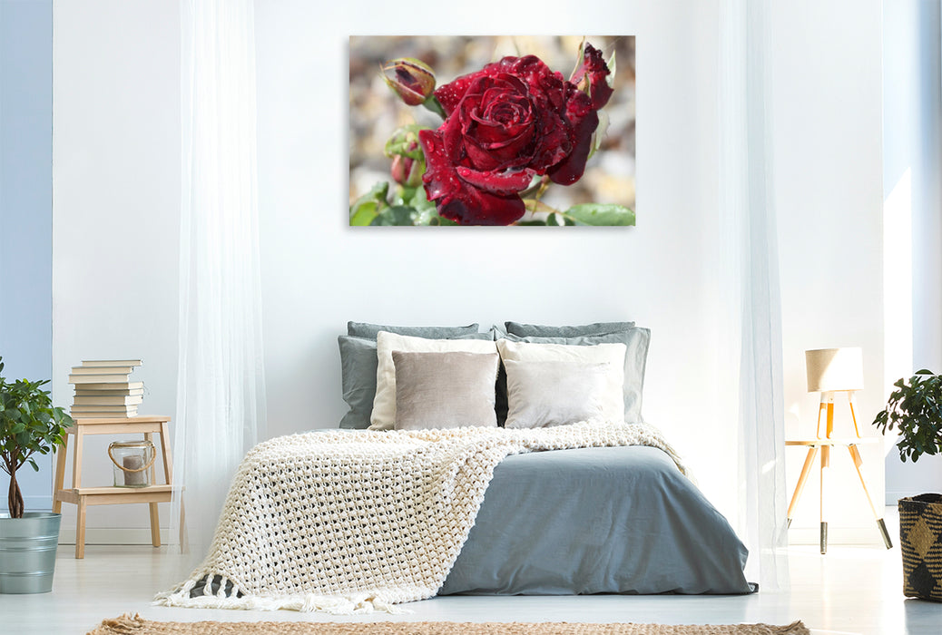 Premium Textil-Leinwand Premium Textil-Leinwand 120 cm x 80 cm quer Zauberhafte Rosen