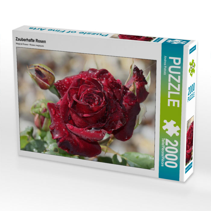 Zauberhafte Rosen 2000 Teile Puzzle quer - CALVENDO Foto-Puzzle'