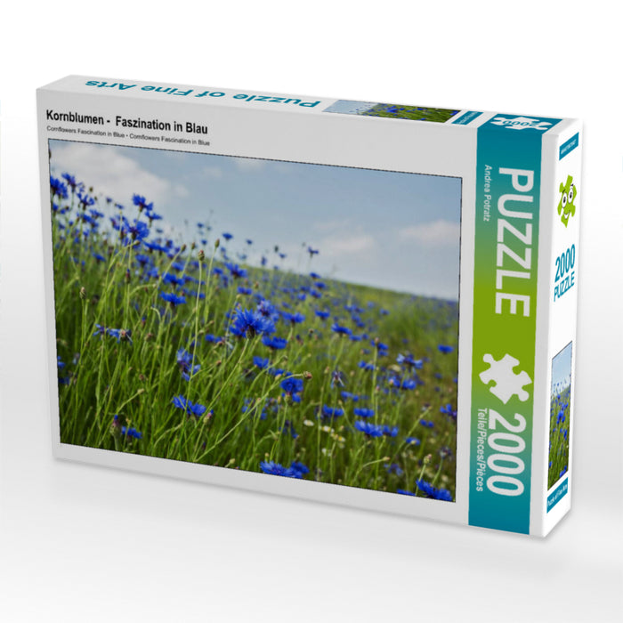 Kornblumen -  Faszination in Blau 2000 Teile Puzzle quer - CALVENDO Foto-Puzzle'