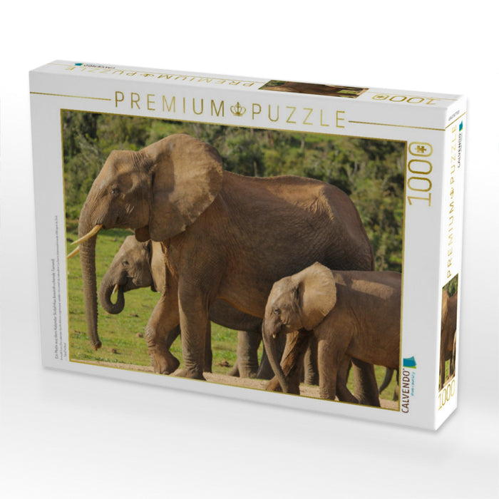 Ein Motiv aus dem Kalender Südafrikas beeindruckende Tierwelt - CALVENDO Foto-Puzzle'