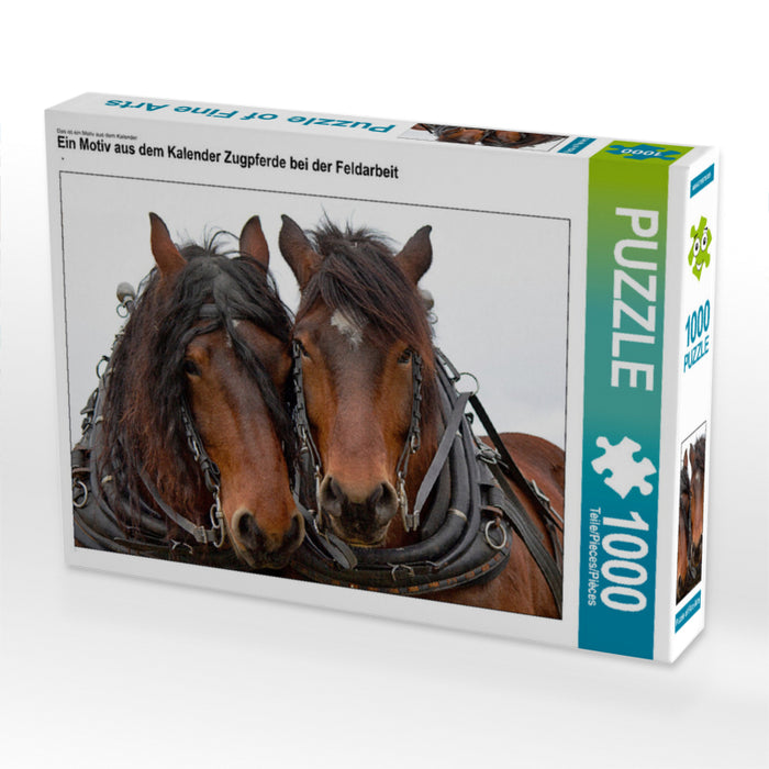 Ein Motiv aus dem Kalender Zugpferde bei der Feldarbeit 1000 Teile Puzzle quer - CALVENDO Foto-Puzzle'