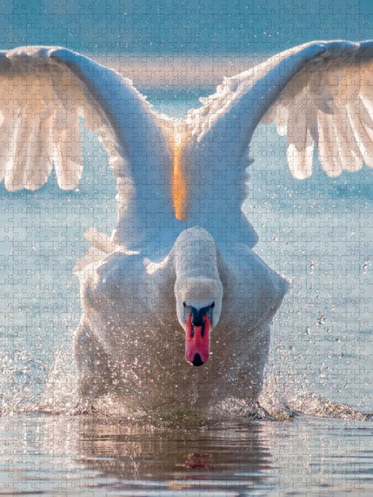 Schwäne, eindrucksvolle Größe - CALVENDO Foto-Puzzle'