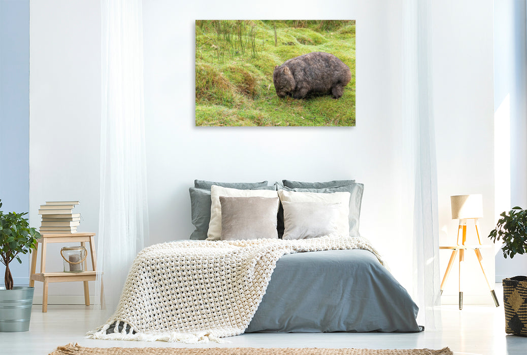 Premium Textil-Leinwand Süßer Wombat