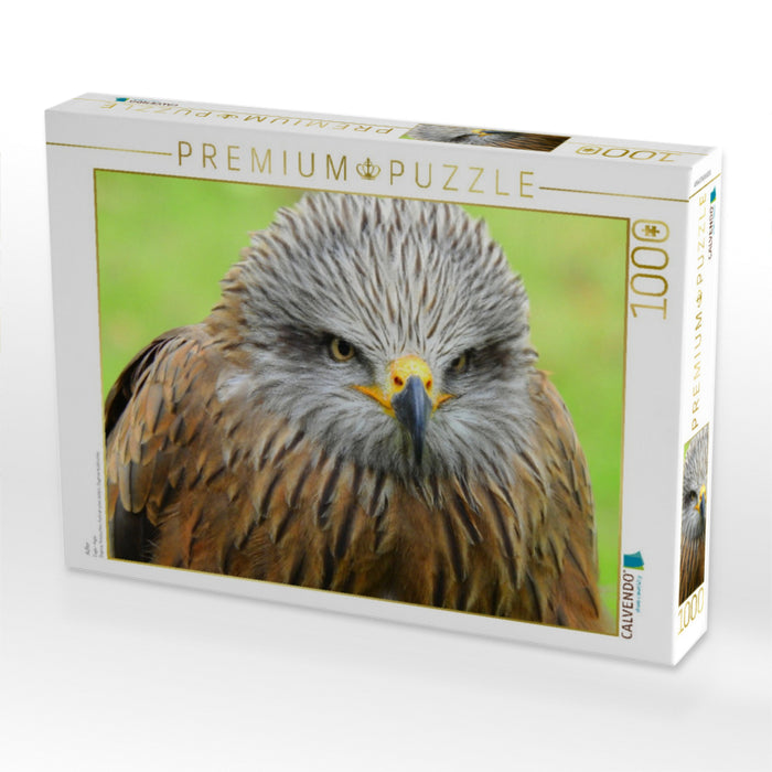 Adler - CALVENDO Foto-Puzzle'