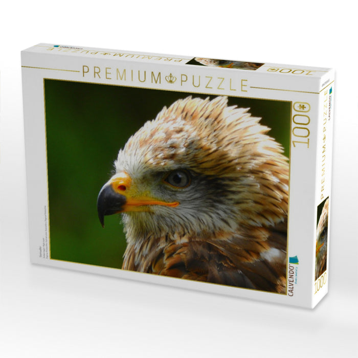 Steinadler - CALVENDO Foto-Puzzle'