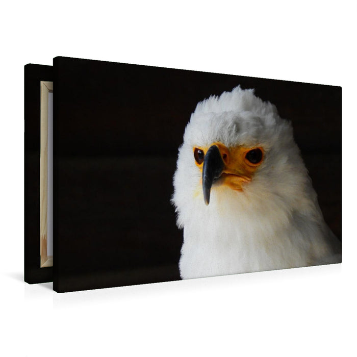 Premium Textil-Leinwand Adler