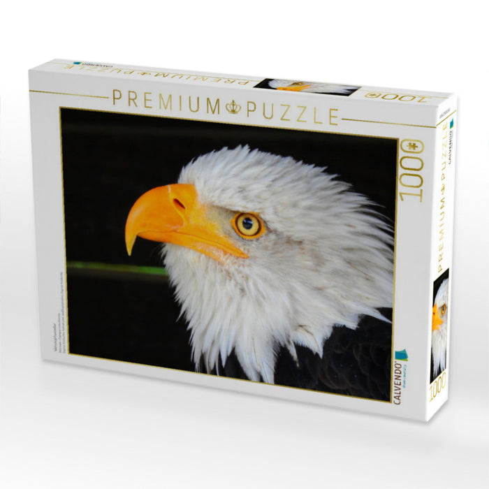 Weisskopfseeadler - CALVENDO Foto-Puzzle'