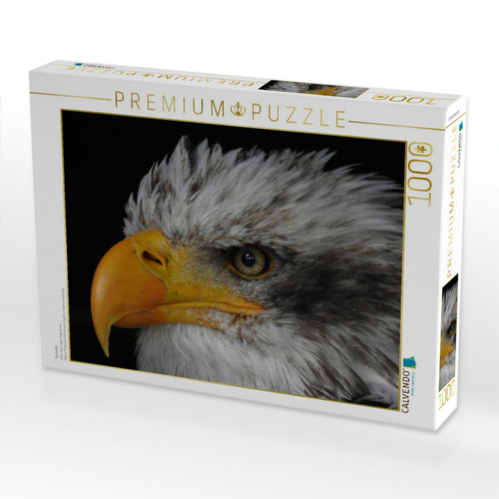 Seeadler - CALVENDO Foto-Puzzle'