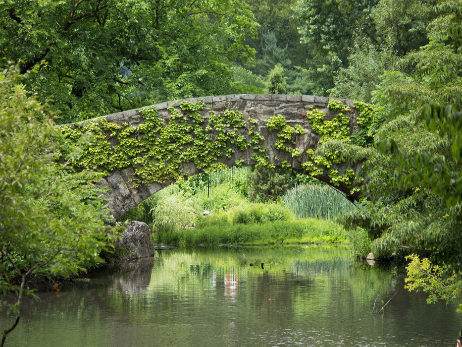 Gapstow Bridge Central Park Manhattan - CALVENDO Foto-Puzzle'