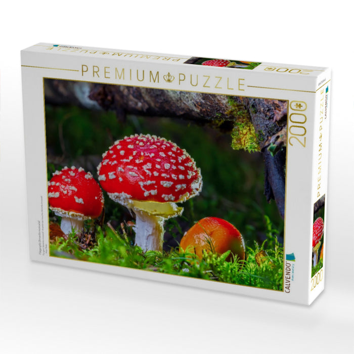 Fliegenpilz (Amanita muscaria) - CALVENDO Foto-Puzzle'