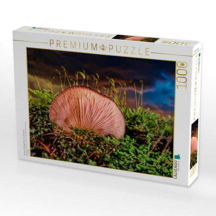 Austern-Seitlings (Pleurotus ostreatus) - CALVENDO Foto-Puzzle'