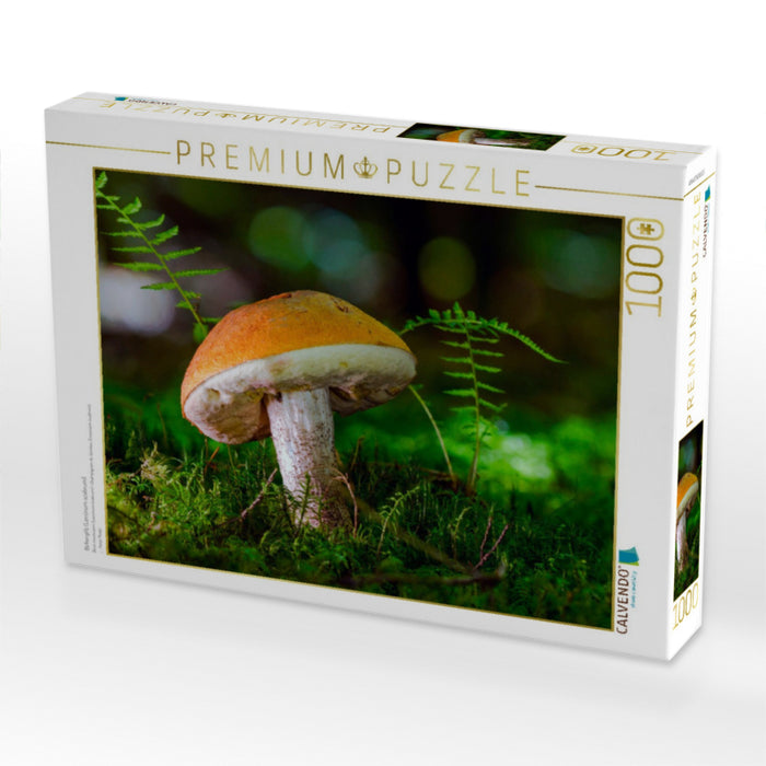 Birkenpilz (Leccinum scabrum) - CALVENDO Foto-Puzzle'
