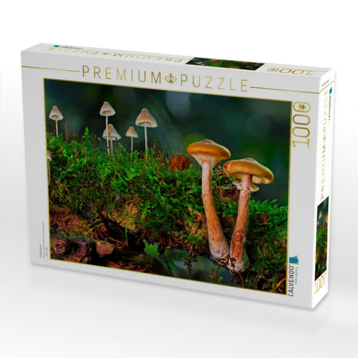 Pilzgruppen - CALVENDO Foto-Puzzle'