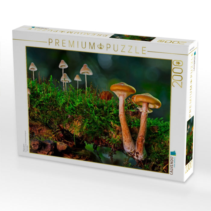 Pilzgruppen - CALVENDO Foto-Puzzle'