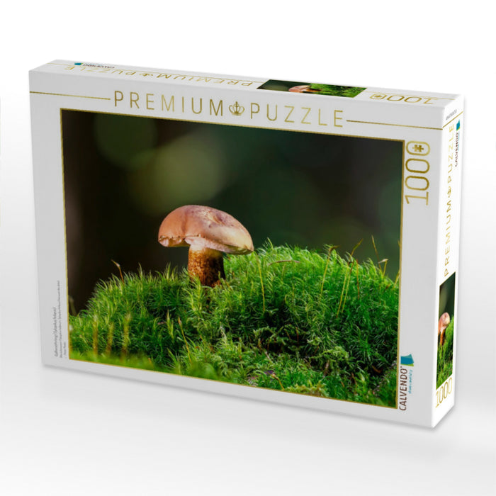 Gallenröhrling (Tylopilus felleus) - CALVENDO Foto-Puzzle'