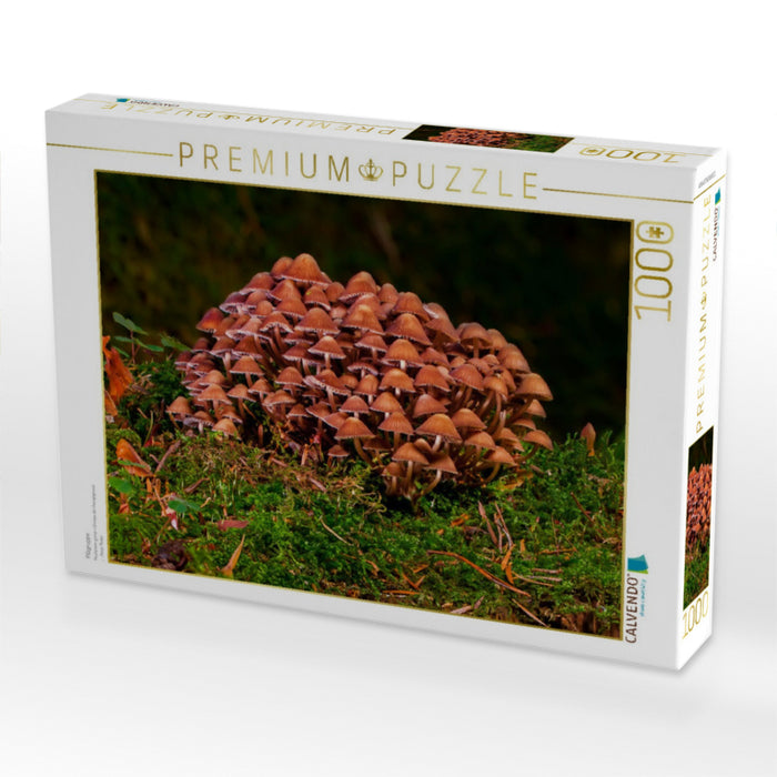 Pilzgruppe - CALVENDO Foto-Puzzle'