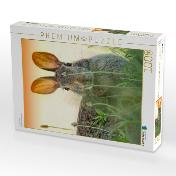 Niedliche Hasen - CALVENDO Foto-Puzzle'