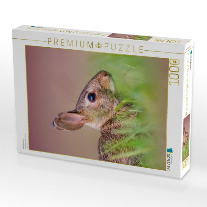 Niedliche Hasen - CALVENDO Foto-Puzzle'