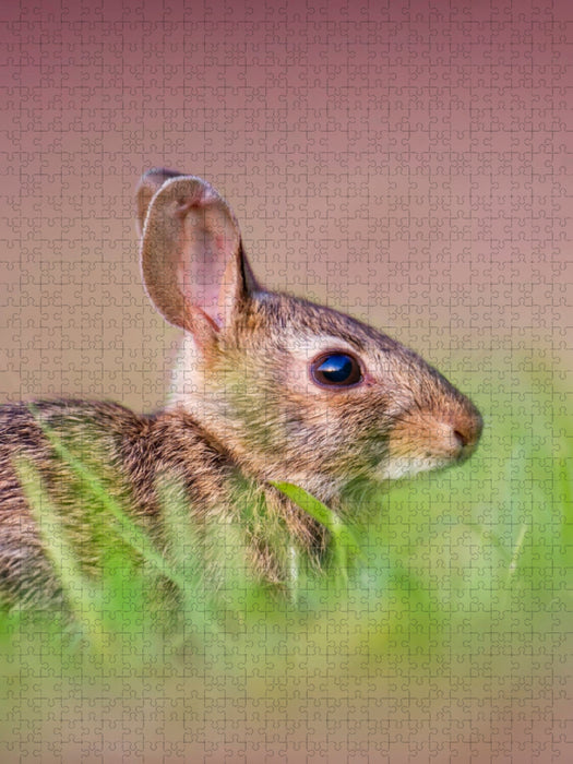 Niedliche Hasen - CALVENDO Foto-Puzzle'