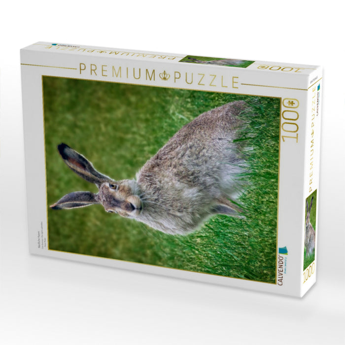 Niedliche Hasen - CALVENDO Foto-Puzzle'