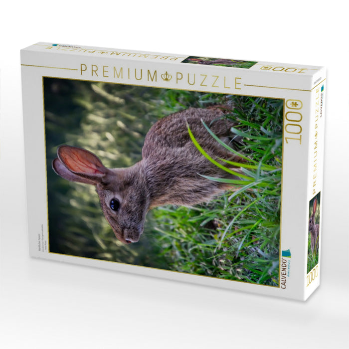 Niedliche Hasen - CALVENDO Foto-Puzzle'