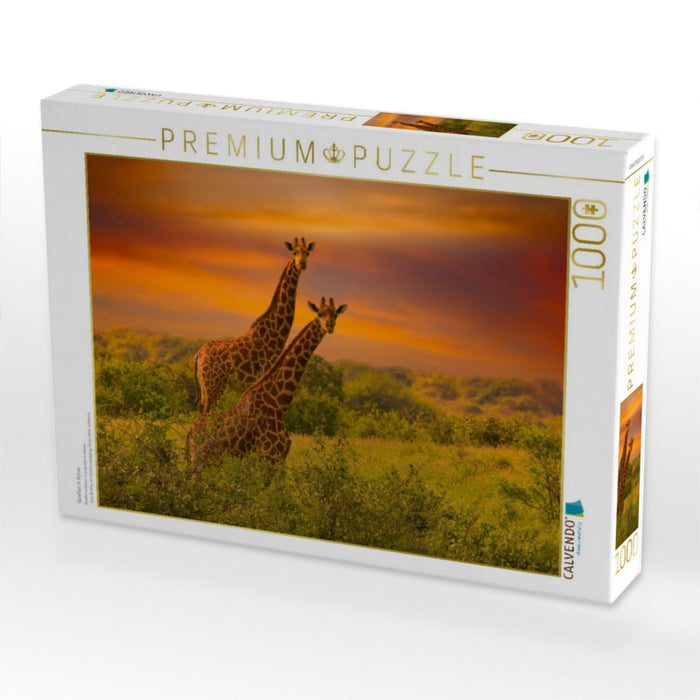 Giraffen in Kenia - CALVENDO Foto-Puzzle'