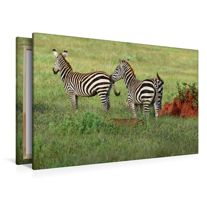 Premium Textil-Leinwand Zebra