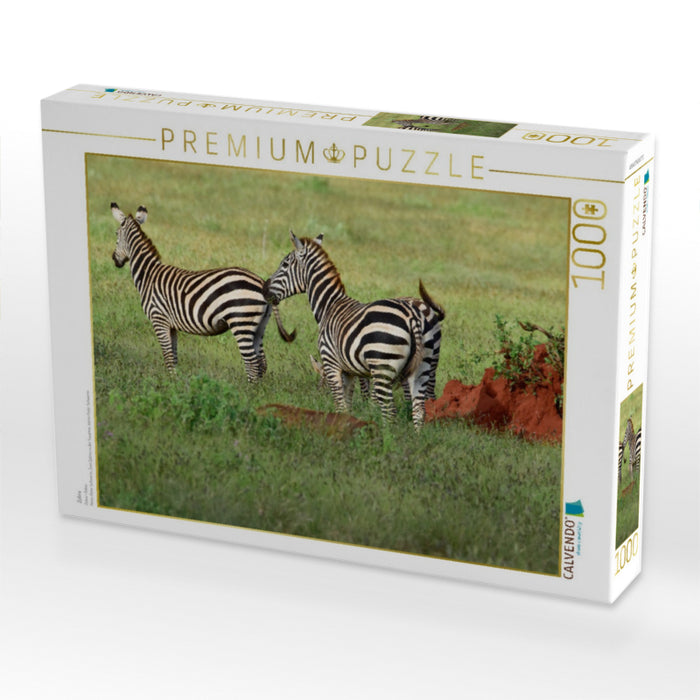 Zebra - CALVENDO Foto-Puzzle'