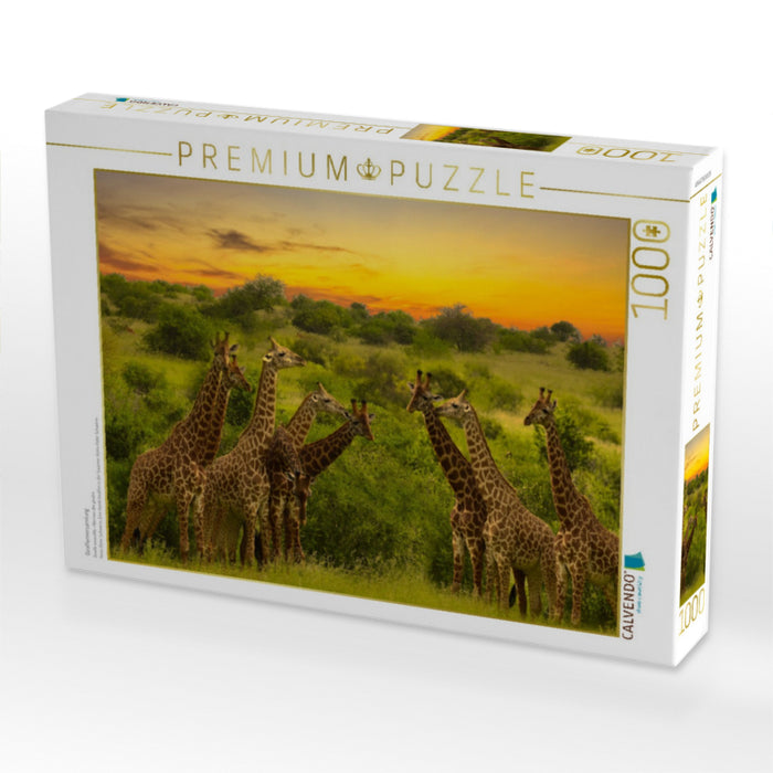 Giraffenversamlung - CALVENDO Foto-Puzzle'