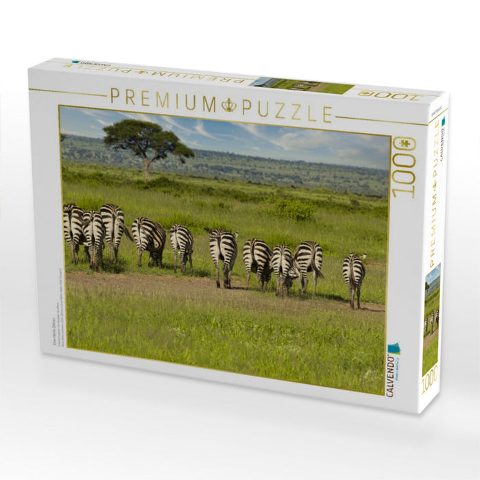 Eine Herde Zebras - CALVENDO Foto-Puzzle'