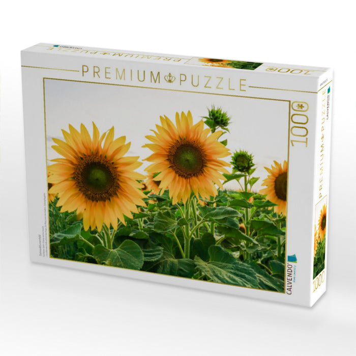 Sonnenblumenfeld - CALVENDO Foto-Puzzle'