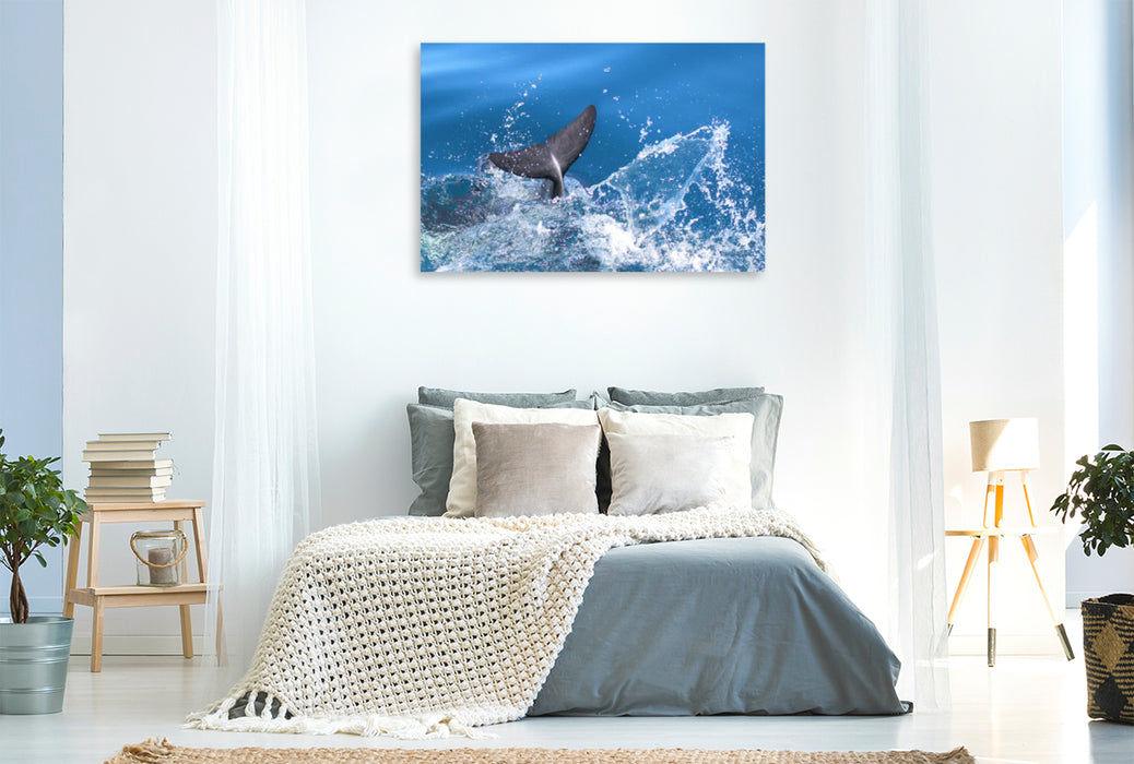 Premium Textil-Leinwand Premium Textil-Leinwand 120 cm x 80 cm quer Wasserspaß der Delfine