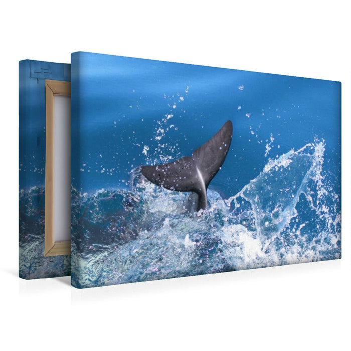 Premium Textil-Leinwand Wasserspaß der Delfine