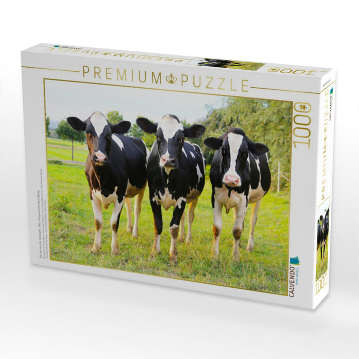 Die drei von der Tankstelle - Bina, Prinzessin Hannah & Becky - CALVENDO Foto-Puzzle'