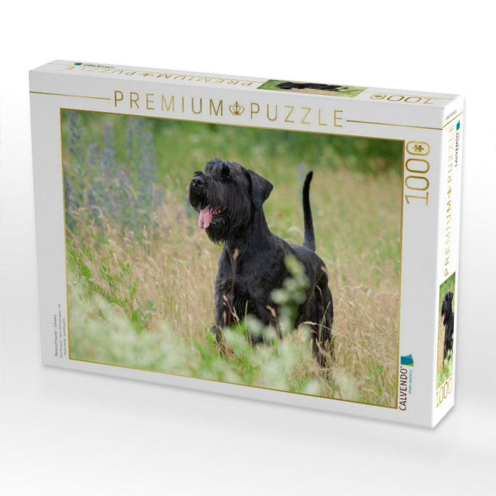 Riesenschnauzer - schwarz - CALVENDO Foto-Puzzle'