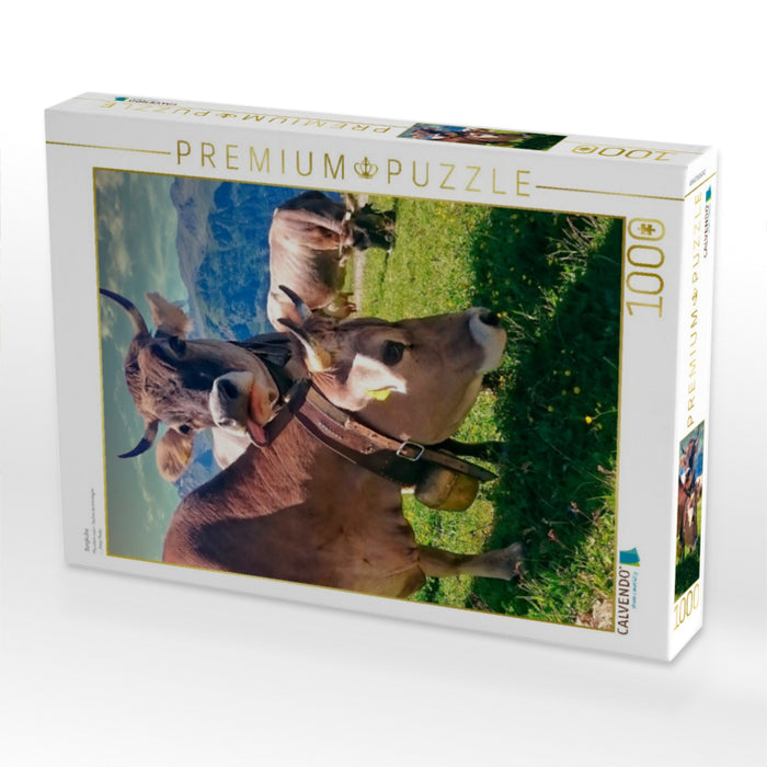 Bergkühe - CALVENDO Foto-Puzzle'