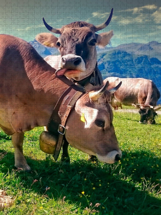 Bergkühe - CALVENDO Foto-Puzzle'