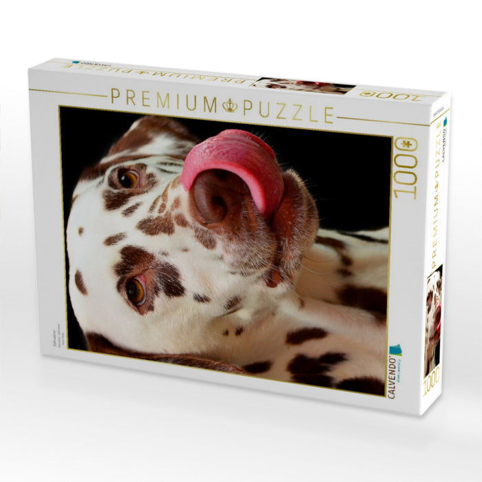 Dalmatiner - CALVENDO Foto-Puzzle'