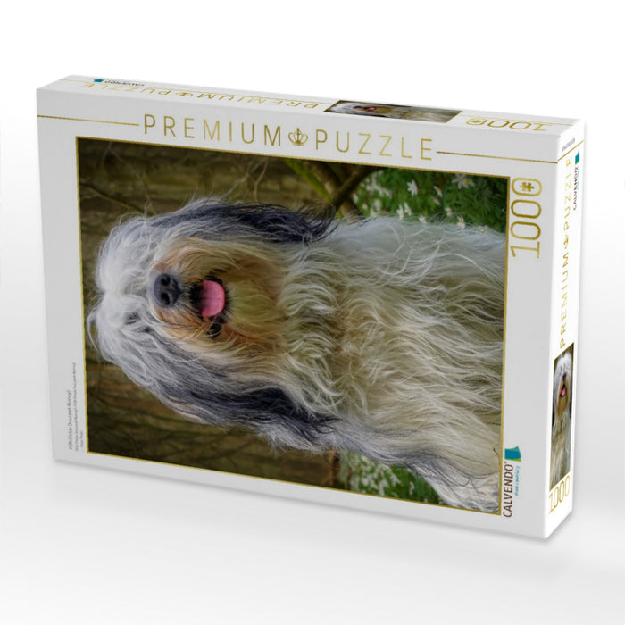 PON (Polski Owczarek Nizinny) - CALVENDO Foto-Puzzle'