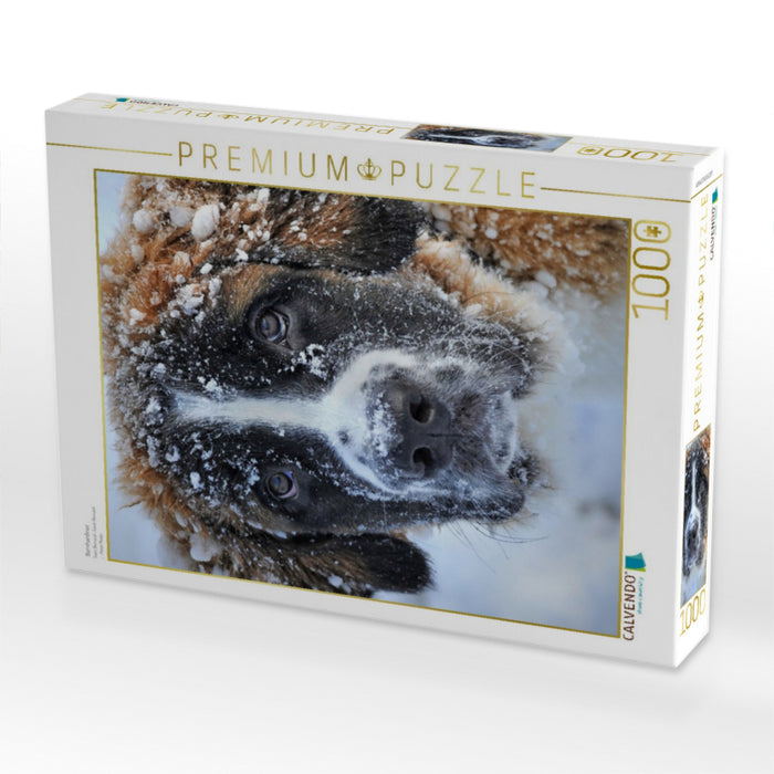 Bernhardiner - CALVENDO Foto-Puzzle'