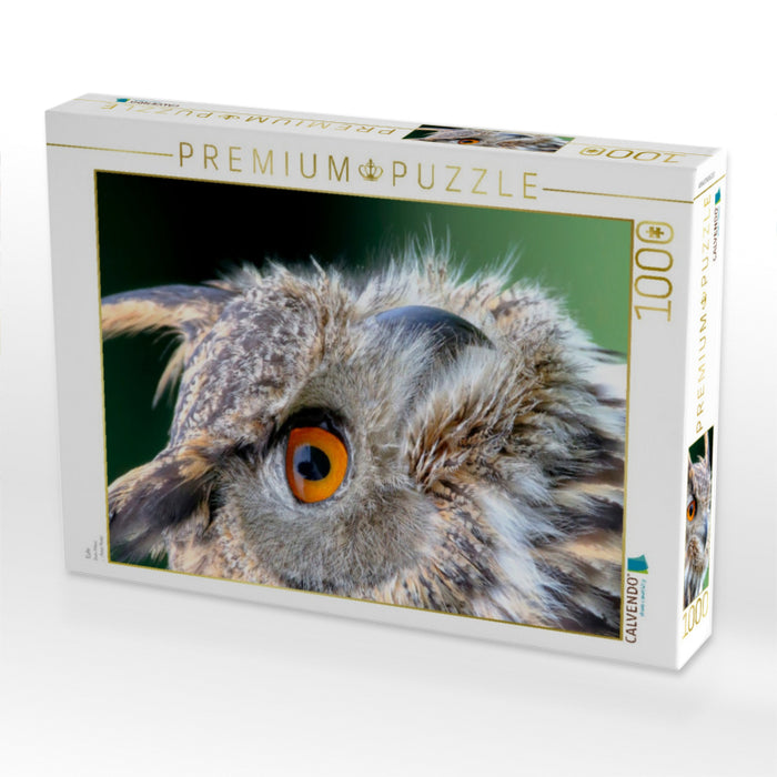 Eule - CALVENDO Foto-Puzzle'